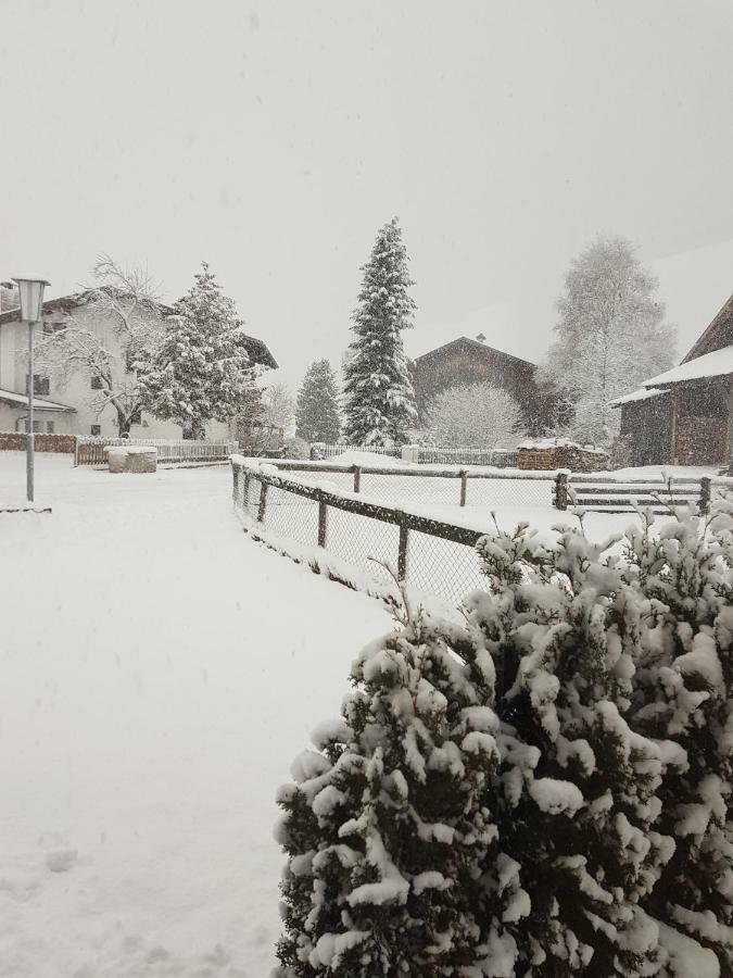 Haus Wiesenheim Fw Oetztal Längenfeld Kültér fotó